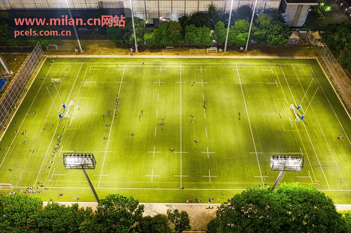 www.milan.cn网站威尼斯手工玻璃花瓶好物图