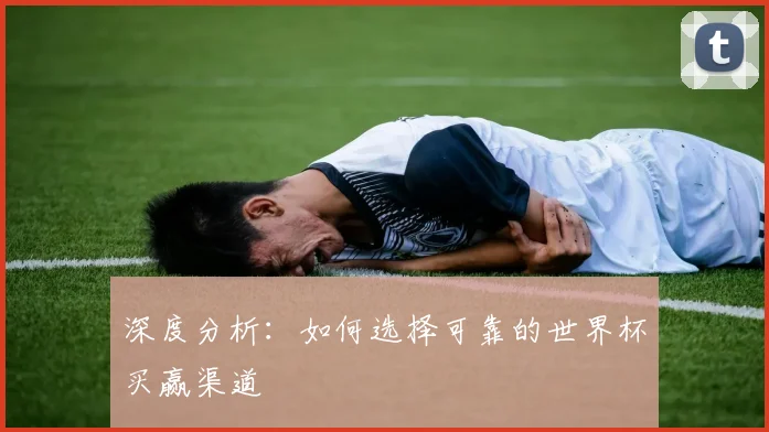 深度分析:如何选择可靠的世界杯买赢渠道
