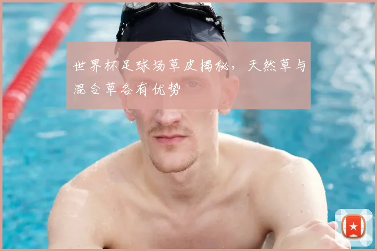 世界杯足球场草皮揭秘，天然草与混合草各有优势