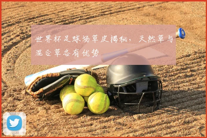 世界杯足球场草皮揭秘，天然草与混合草各有优势