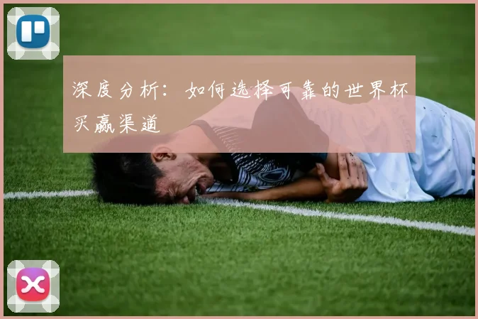 深度分析：如何选择可靠的世界杯买赢渠道