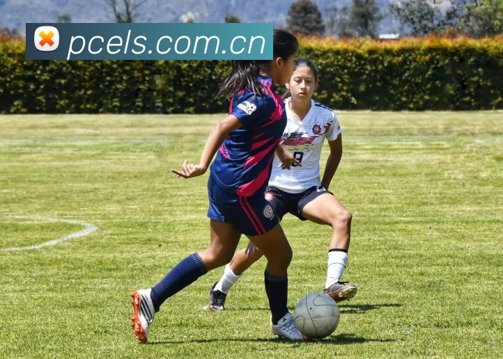 App Interface Preview